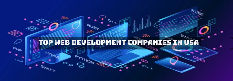 web development company in USA
